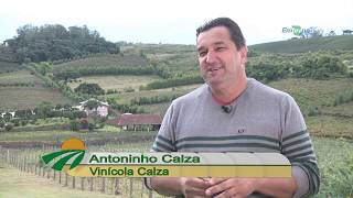 Miniatura do vídeo