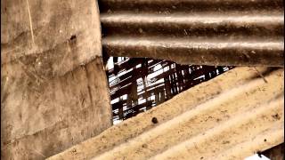 Download lagu Euforia, ku hampa by Zat Kimia mp3 Download lagu Euforia, ku hampa by Zat Kimia mp3