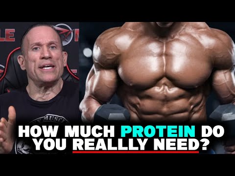 PROTEIN INTAKE! How Much PROTEIN Should You Have Daily?