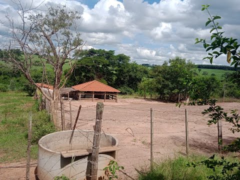 SITIO NHANDEARA 5 ALQUEIRES AJEITADINHO DIMAISSS- VEJA DESCRICAO ABAIXO