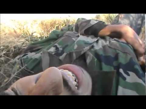 إصابة أحد عناصر لواء القادسية في معركة مطار دير الزور العسكري