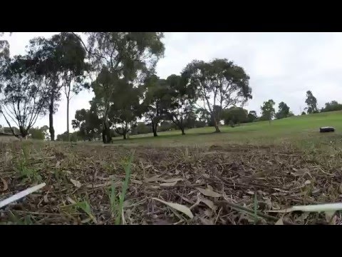 Second day with the eachine