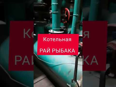 ● КОТЕЛЬНАЯ - РАЙ ДЛЯ РЫБАКА ● Январь 2022