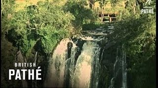 Kenya Safari (1967) video