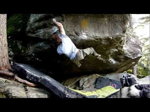 3 classic 8a in Magic Wood