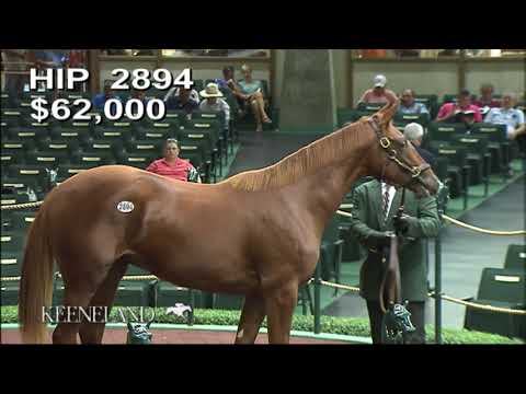 Carrick as a Keeneland September Yearling