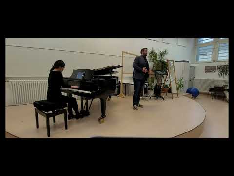 Božidar Smiljanić - Stravinsky: "Fair Lady, gracious Gentlemen" - Nick Shadow   (Rake's Progress)
