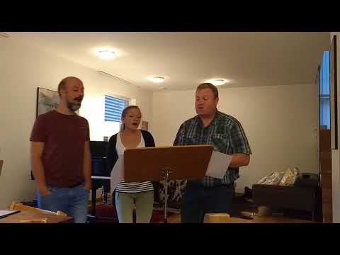 Du sagst ja (Danny Plett)