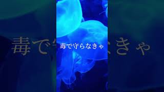 クラゲ / 初音ミク [ Music video ] 315 [ 2/3 ] #shorts