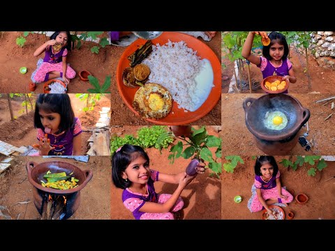 #Gardenനിൽ ഇരുന്ന് വീട്ടിലുണ്ടായ #വെണ്ടയും #വഴുതനയും #Fry ചെയ്താലോ #Comment Yr Fav #Fry.My Fav 🥔🥔🍆