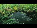 Surah Ar Rahman With Rain By Ridjaal Ahmad Calm Your Anxiety