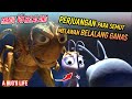 PERJUANGAN SEMUT MELAWAN BELALANG PENJAJAH Alur Film A BUG S LIFE