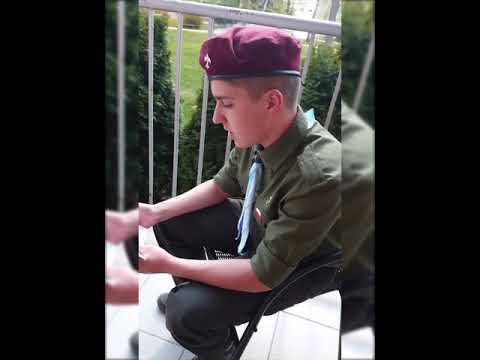 HARCERSTWO   DOBRE NA WSZYSTKO !! (harcerz i złota rybka)