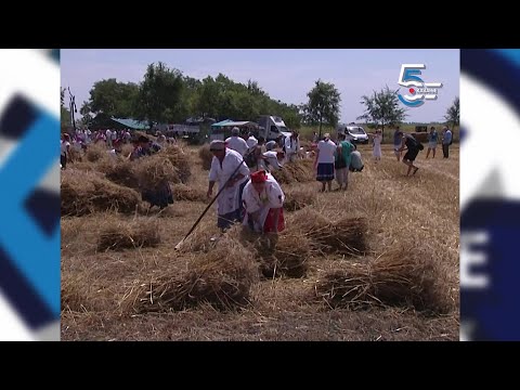 Ručno košenje žita