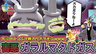 【ポケモン剣盾】環境TOPへ刺客到来！今シーズン大活躍できる神調整「ガラルマタドガス」が無双できる件ｗｗｗ【ポケットモンスターソードシールド】