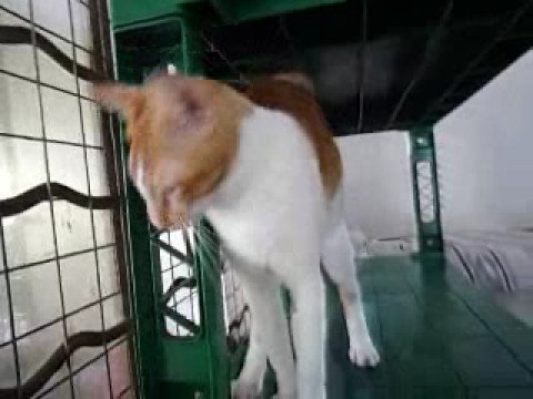 Sadhu wishes for a good home