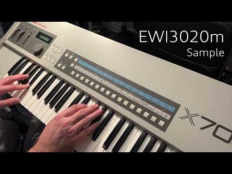 Akai X7000 Sampling Keyboard (GOTEK) 1980s - Silver image 19