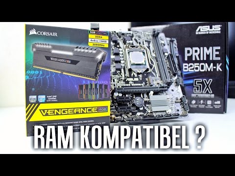Läuft mein Arbeitsspeicher auf dem Mainboard? | Ihr Fragt Ich Teste #1 Zenchilli