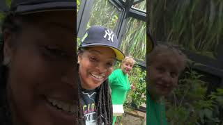 A Day in Harvest Cay, Belize  - Food, Drink + Cruise Vlog | NCL Joy