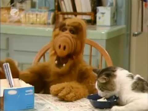 ALF | “En Busca de Suertudo” | Parte 12 | ALF en Español