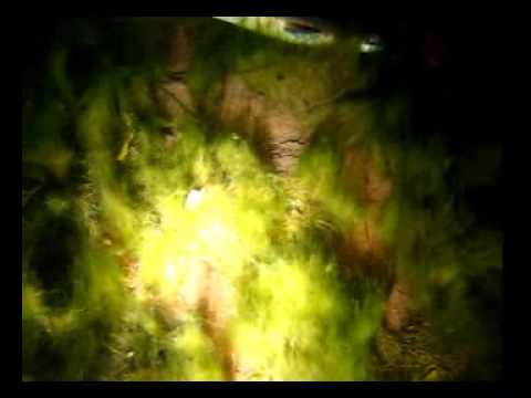 Sundhäuser See bei Nordhausen