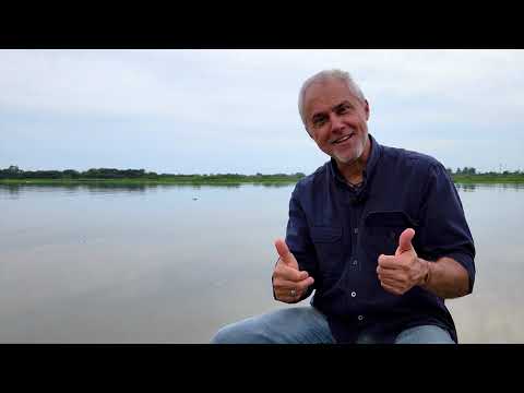 Estação Ecológica do Taim'