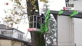 Kış Öncesi Ağaç Budama Çalışmaları Başladı