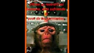 ska-p animales de laboratorio letra