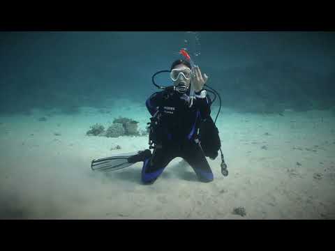 Removing and Replacing the Scuba Unit (Underwater)