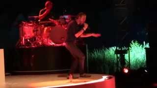 VILLARS 2015-Faute et Plaisir et Adultes Addict-Ch.WILLEM