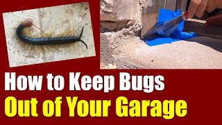 🐞Keep Bugs Out of Your Garage ● Easy Hack to Seal Your Garage Door & Keep Nasty Critters Out ✅