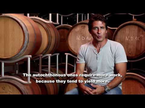Di Giovanna Winery video thumbnail