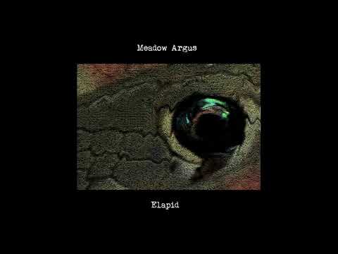 Meadow Argus - Elapid (Full Album)