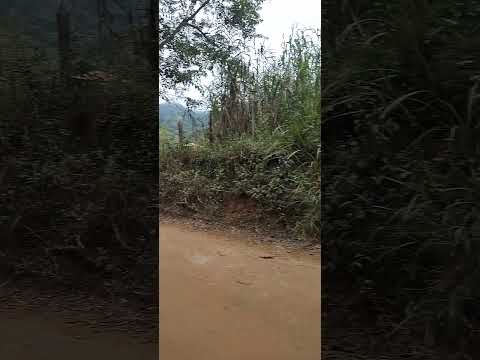 dia 11: Conceição das Pedras x Vargem Alegre