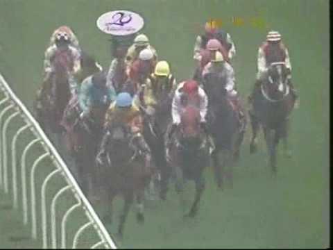 董事盃 (二級賽)--「濠江歡騰」不怕變化地，依然繼續贏 (3/4/2010)