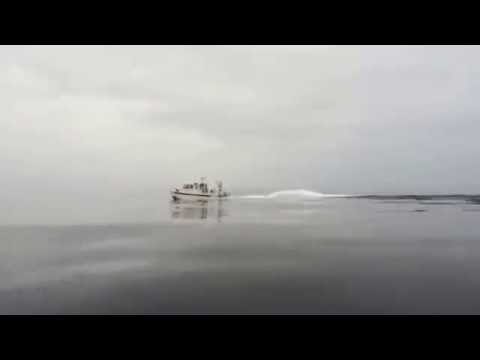 C-Dory TomCat 255 "Stray Cat" off Vancouver 1