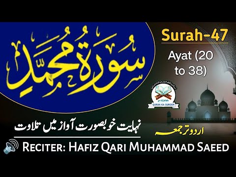 Surah Muhammad Ayat 20 to 38 Ki Tilawat | Surah Muhammad Best Reaction | Surah 47