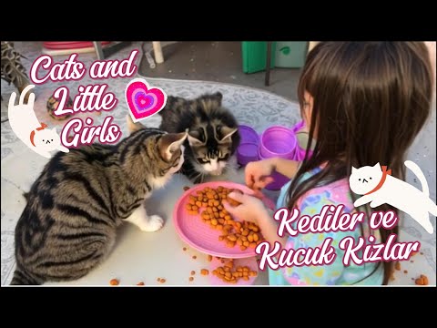Küçük Kız ve Kediler | Cats and Little Girls ♥ #ai #cat #kedi