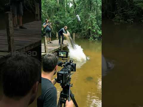 How a Anaconda Swallows an Actor on the Movie Set | VFX Practical Effects BTS