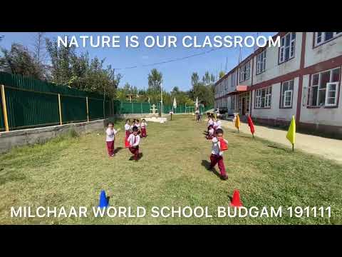 MILCHAAR WORLD SCHOOL BUDGAM 191111