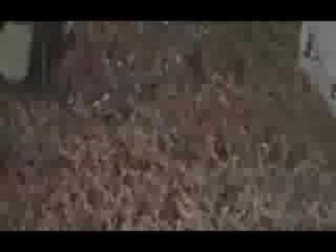 Fla x Flu decisivo de 1991 - Flamengo Campeão Carioca