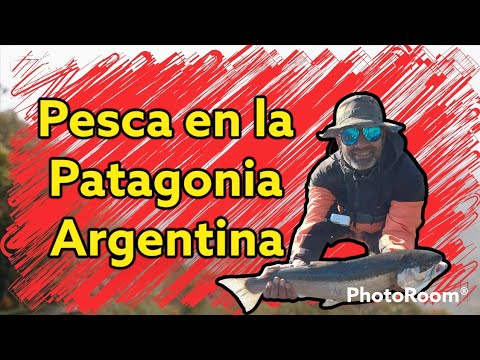 TRAVESÍA por la Patagonia con IMPRESIONANTE captura de Salmon y Truchas!!! #fishing #gopro #trout