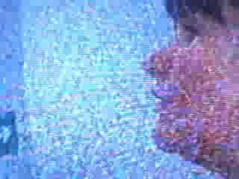 Chris Moyles on Xfactor