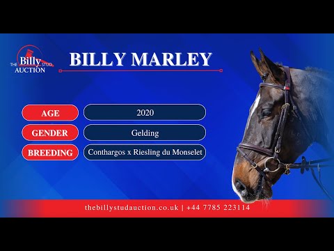 Billy Marley
