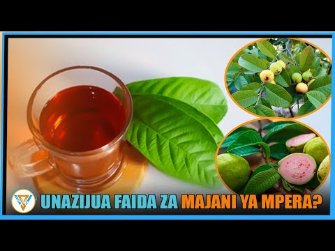 FAIDA 20 ZA MAJANI YA MPERA