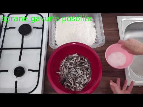 KAKO PRIPREMITI PAPALINE - GAVUNI - GIRICE | FRIGANI - PRŽENI - RECEPT ZA POČETNIKE