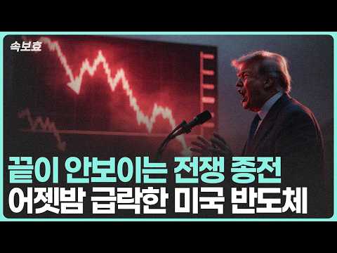 미국 주식 시장 하락의 원인과 대응 전략