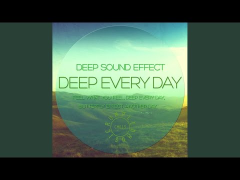 Feel What You Feel (Original Mix)