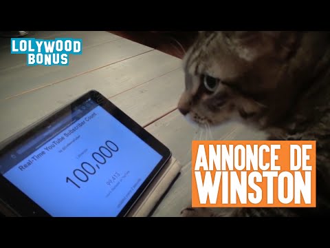 100 000 abonnés : Annonce de Winston