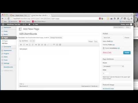 CodeCanyon, DZS ZoomSounds WordPress - Install and Demo Usage